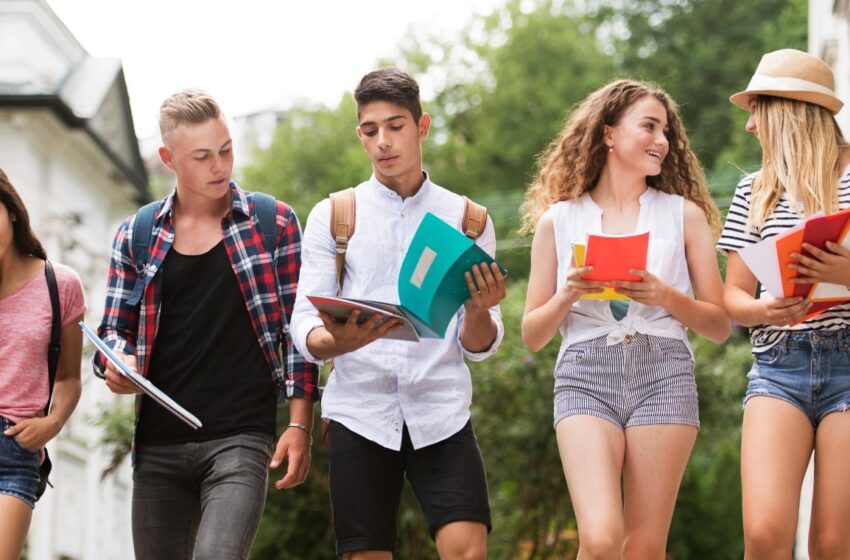 Music Theory Learn New student & Fundamentals