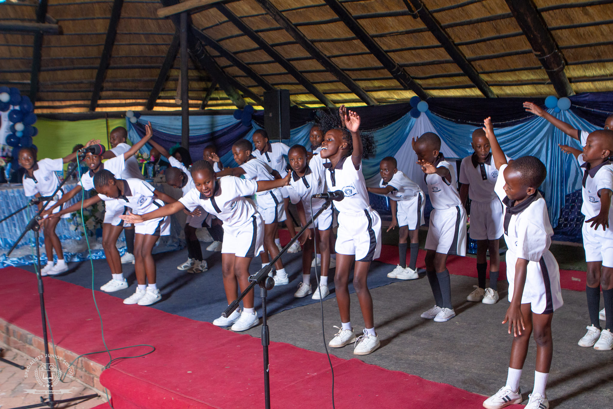 481281510_122190925886057909_7722691468999314193_n